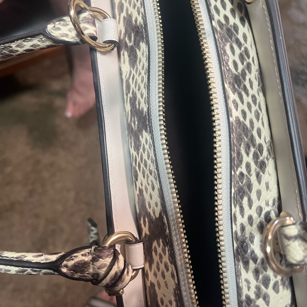 Coach snake skin Cream and Gold Logo Handbag brand new - Picture 3 of 9